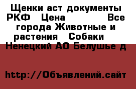 Щенки аст документы РКФ › Цена ­ 15 000 - Все города Животные и растения » Собаки   . Ненецкий АО,Белушье д.